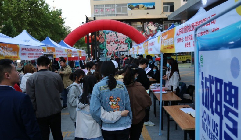 泗阳人才市场，最新招聘汇聚人才繁荣之地