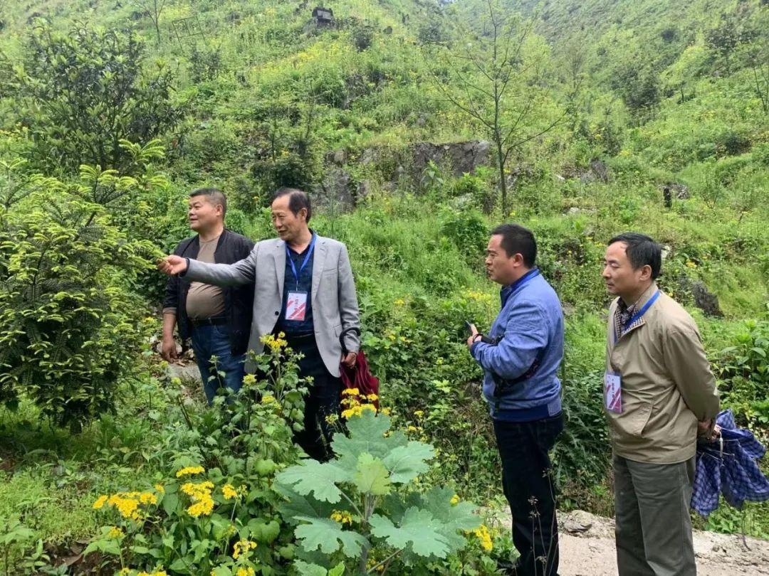 黄山人才网最新招聘启事，城市求职奇遇与友情绽放
