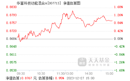今日揭秘，变化中的学习成就之源，探寻001717基金净值变化与自信之源
