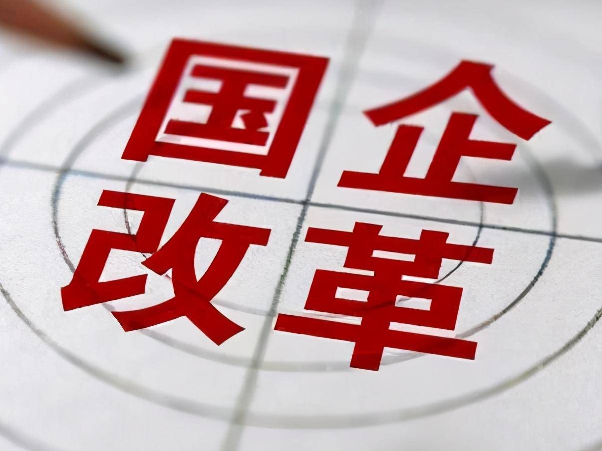 最新福利观点论述与更新动态