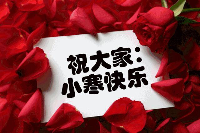 最新问候图片，温暖与祝福的艺术展现