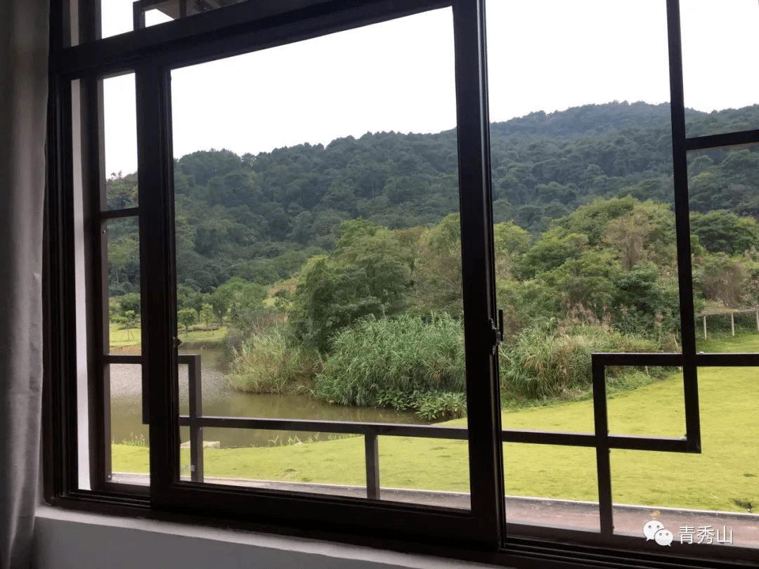 最新纱窗，轻松领略自然美景之旅