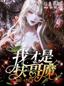 最新完结小说推荐汇总