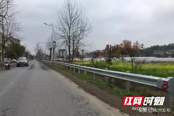 最新停气通知详解，应对方法与建议