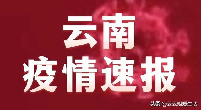 云南疫情最新更新，最新消息与动态
