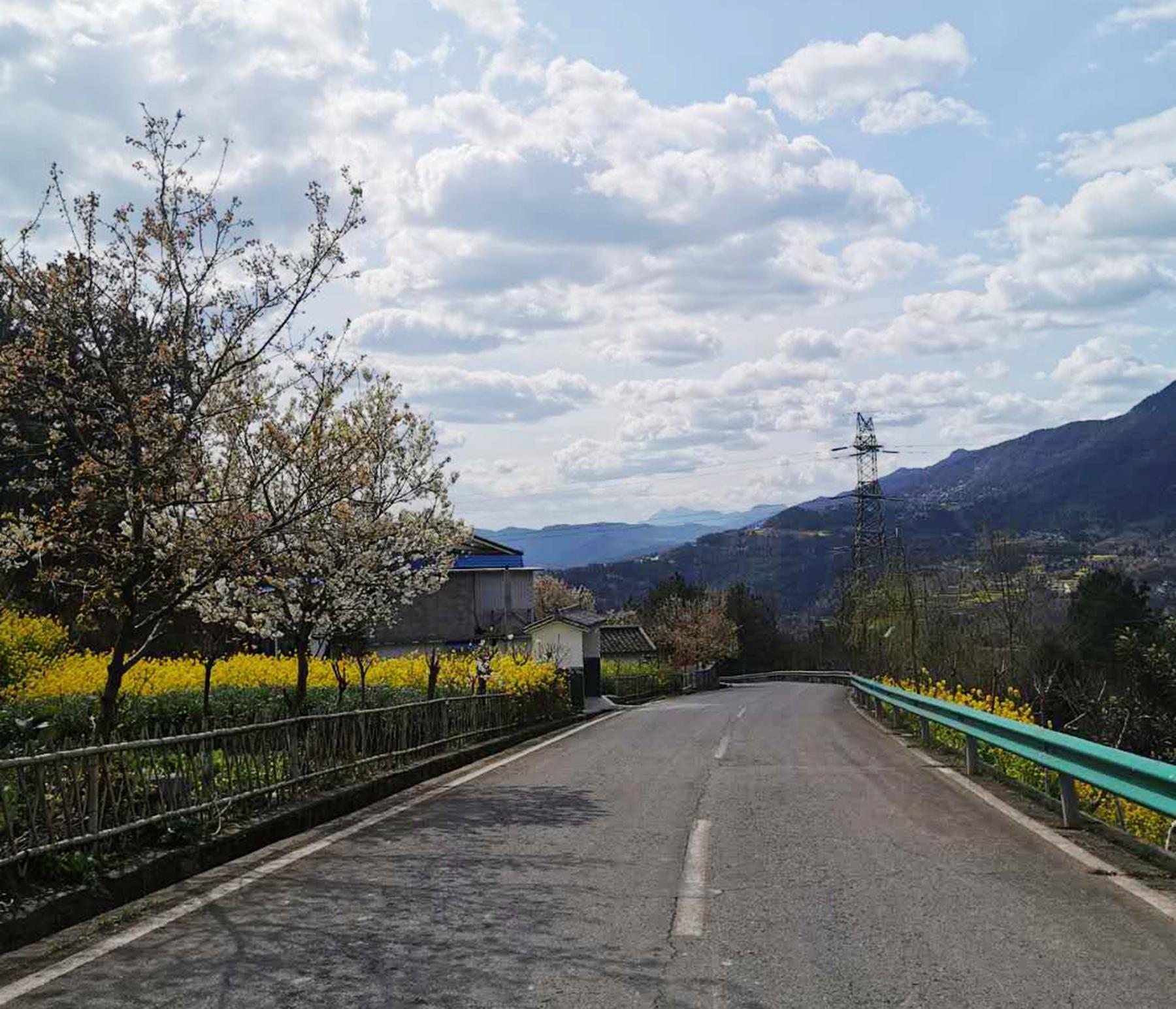 旅游最新资讯详解，步骤指南与旅游动态更新