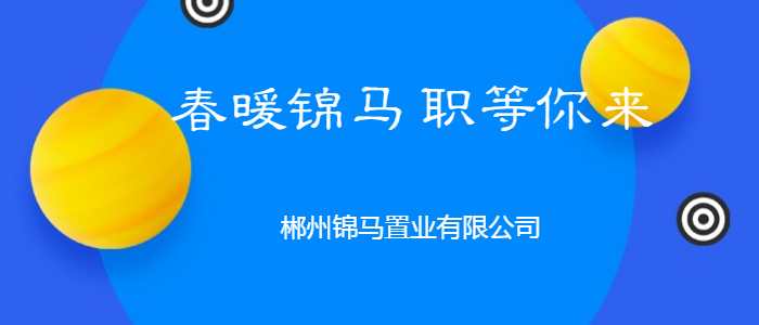 郴州招聘网最新招聘信息及求职步骤指南