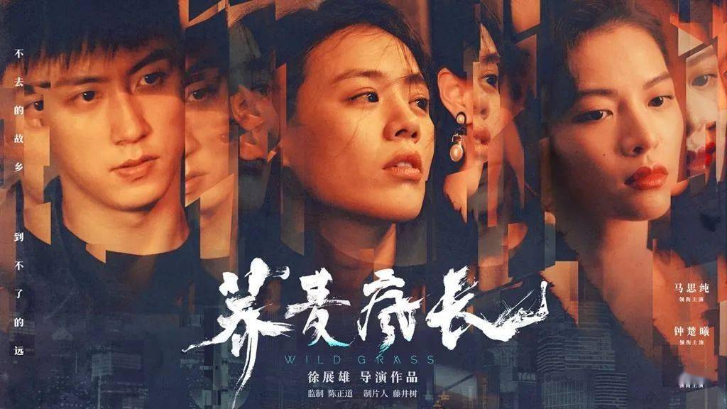 文化馆 第333页
