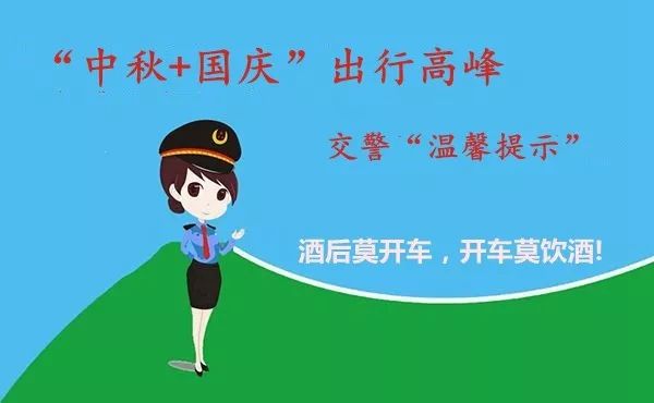 PP最新价格，友情与陪伴的温馨之旅