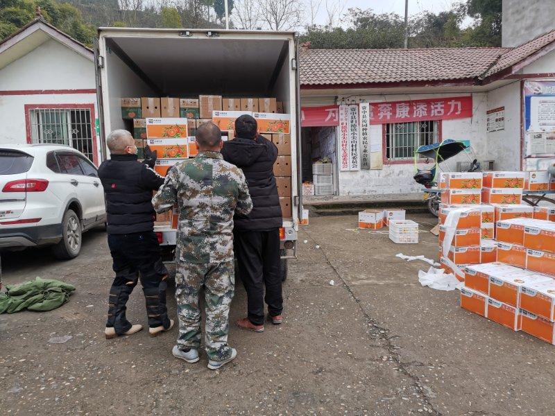 最新地震动态及应对防护指南，详细步骤教你如何防护与应对