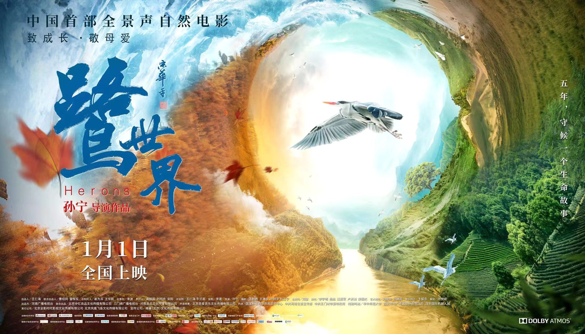 探索自然美景的治愈之旅，最新电影带你寻找内心的平和与喜悦