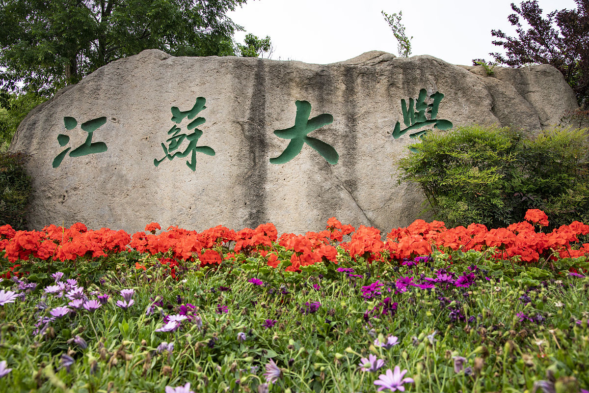 江苏大学最新排名，多维度视角下的深度解析与观点阐述