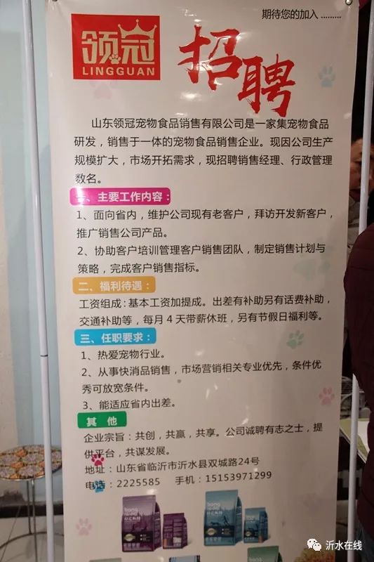 沂水最新招聘信息，科技革新引领职场新篇章
