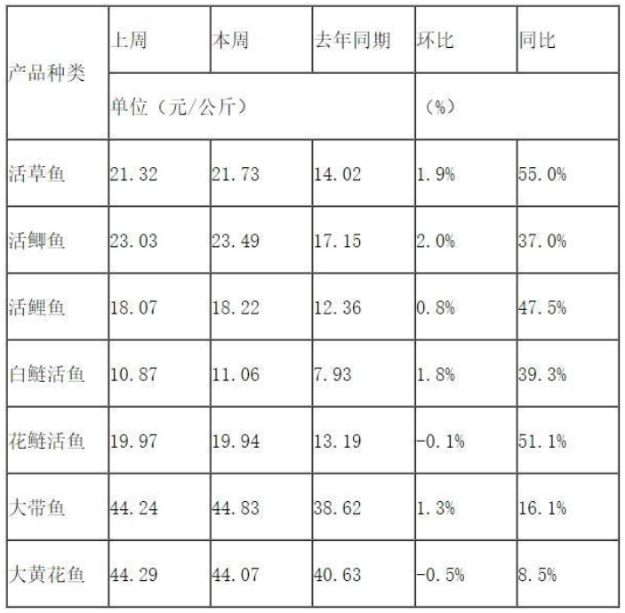 今日钢筋价格动态，变化中的学习展现自信与成就的力量