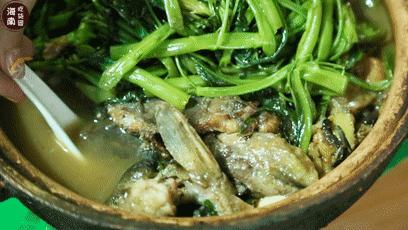 校外培训机构最新动态，巷弄深处的特色教育小店揭秘