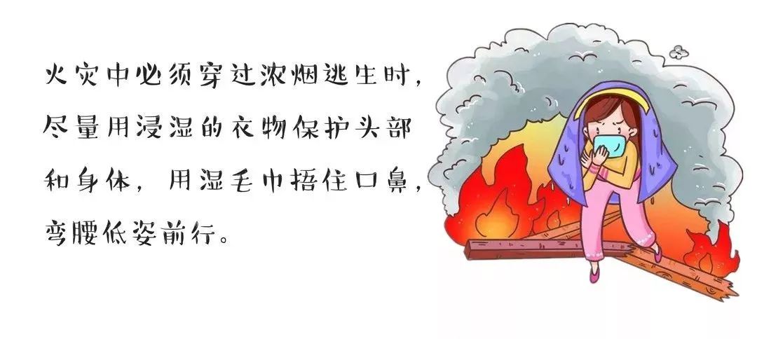 壹家仓最新，家的温馨与友情的奇妙纽带日常记录