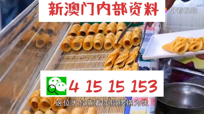 2024新澳门天天开好彩大全正版,决策支持方案_动感版95.420