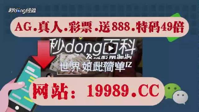 2024澳门开奖结果王中王,资料精准解析_潮流版95.831
