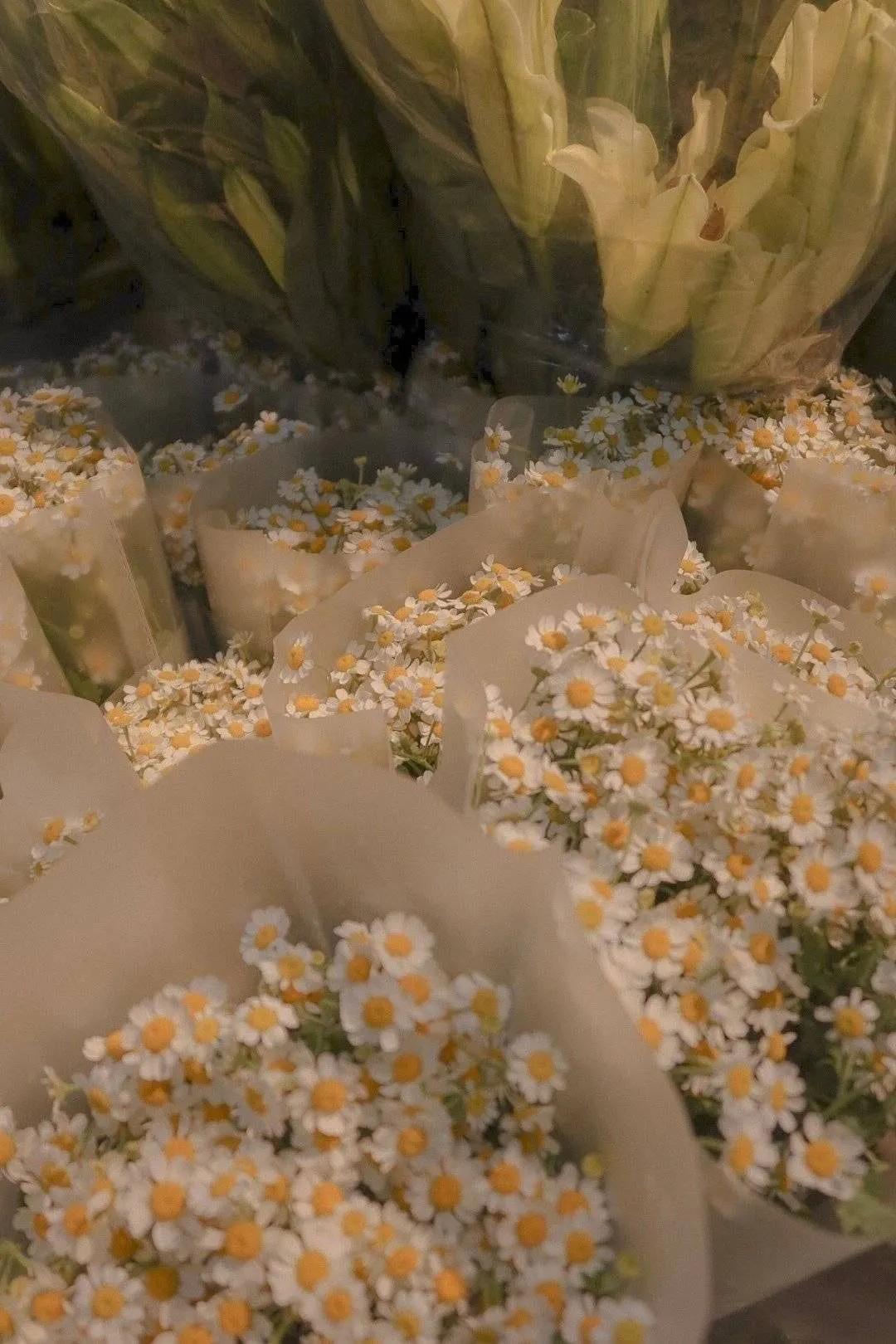部落冲突最新背景,部落冲突最新背景