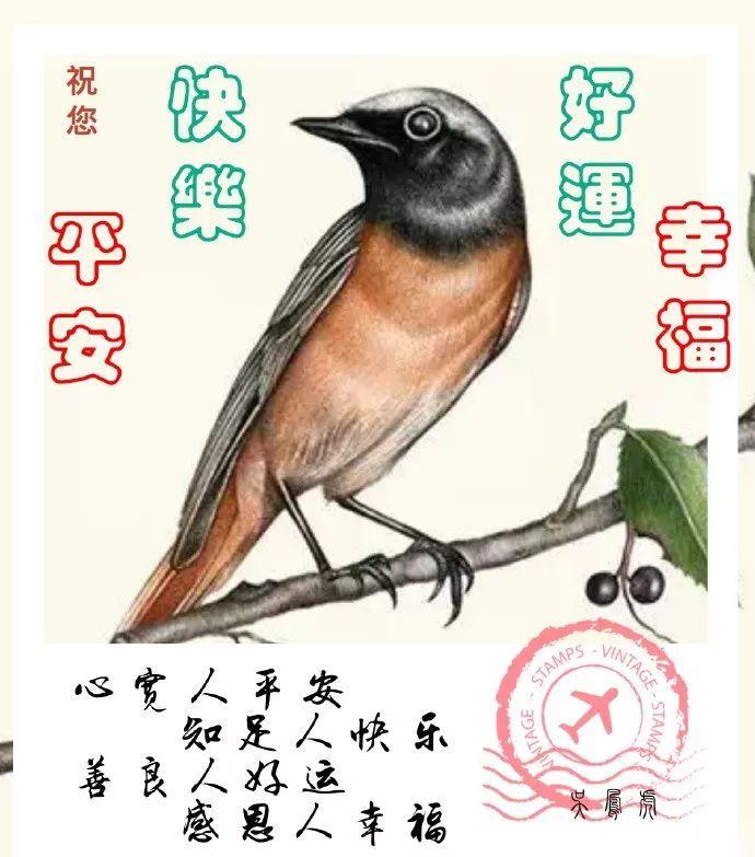 最新热门歌曲推荐,最新热门歌曲推荐，音符中的友情与陪伴