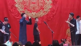 德云社落户济南最新动态及分析