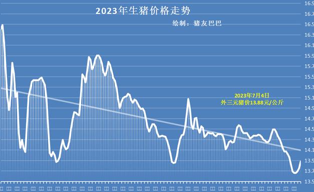 猪肉价格最新动态，背景影响与最新行情分析