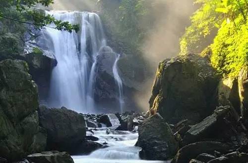 霸哥最新节奏，自然美景的治愈之旅探索