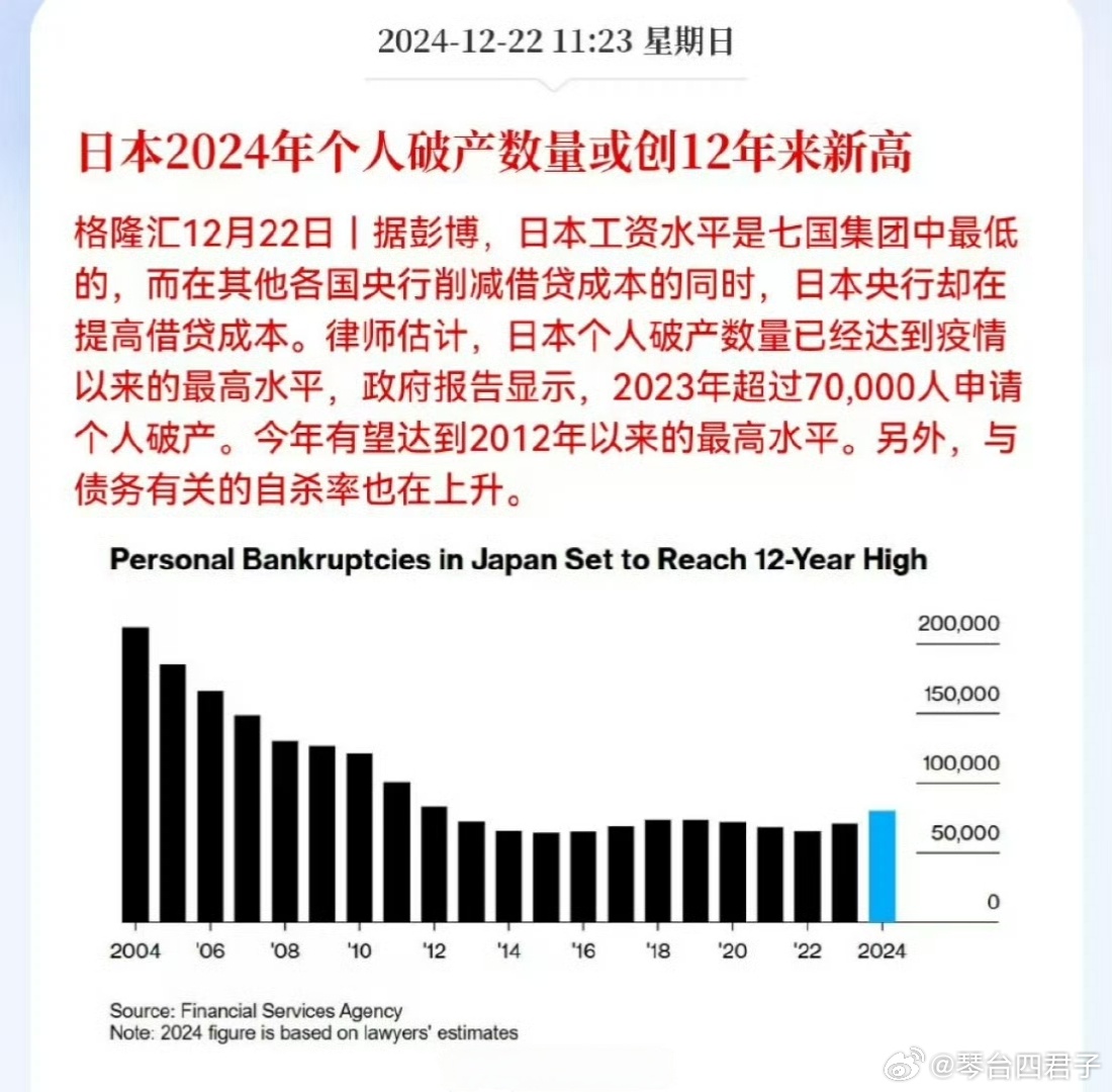 最新日本深度解析，聚焦某一观点的全面探讨
