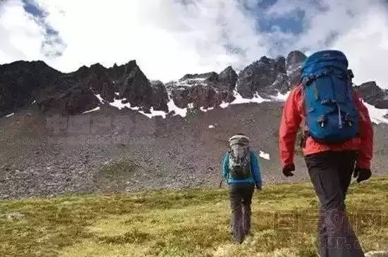 最新失踪案件，浪漫探险之旅背后的危机