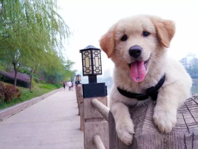 图书馆 第283页