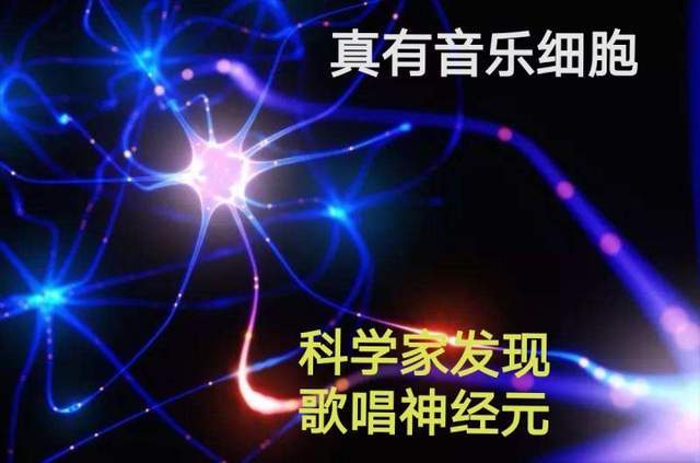 图书馆 第282页