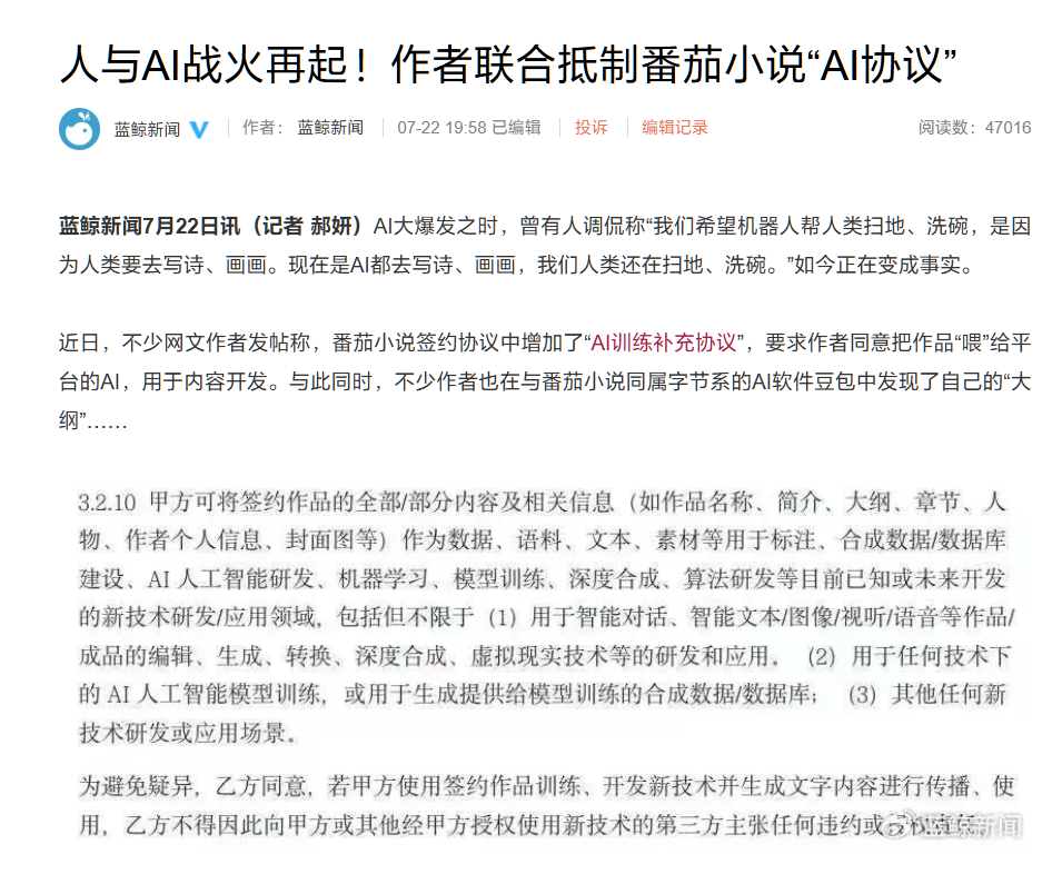 最新网文规则解析与探讨