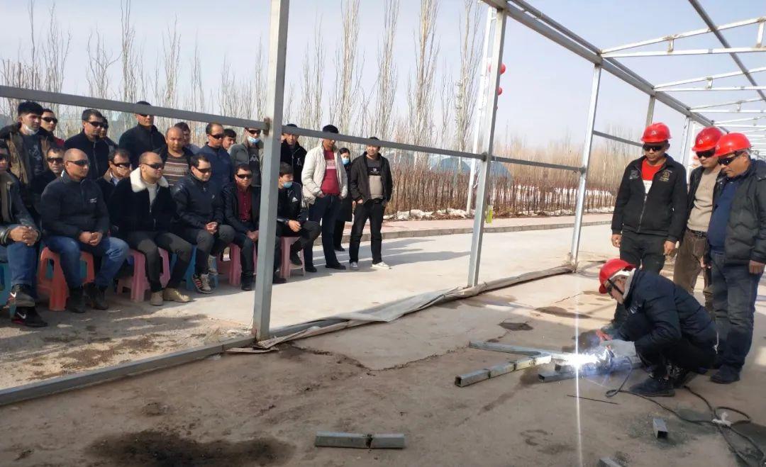 疏附县最新任务或学习技能详细步骤指南