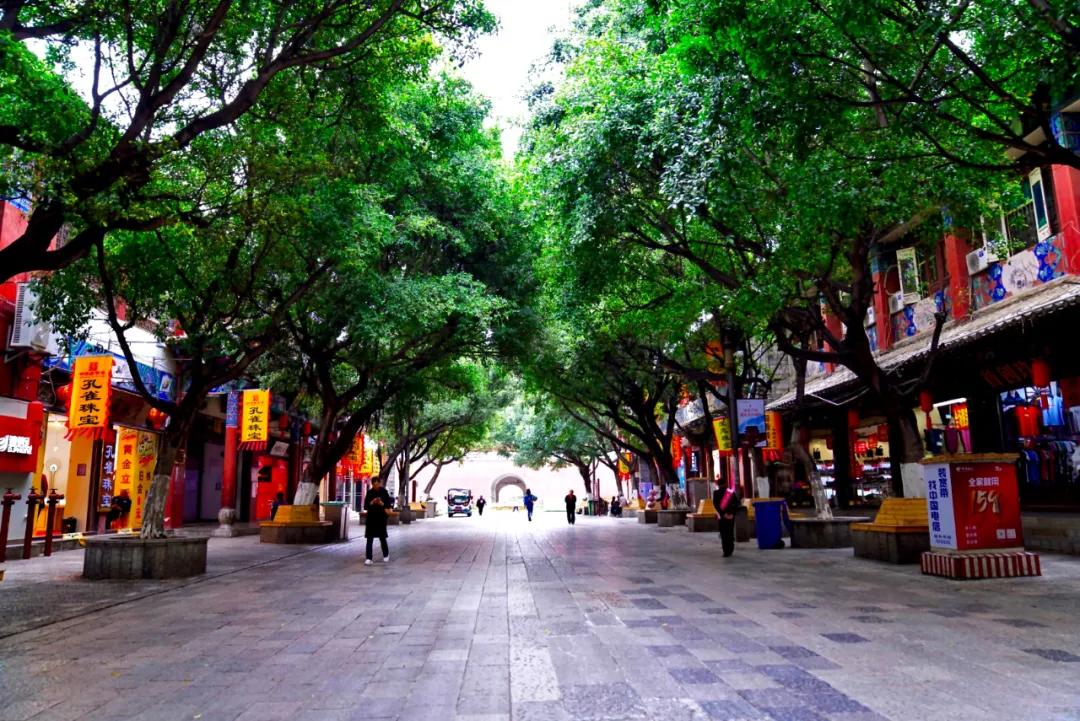 上海最新任职揭秘，巷弄深处的独特小店探秘之旅
