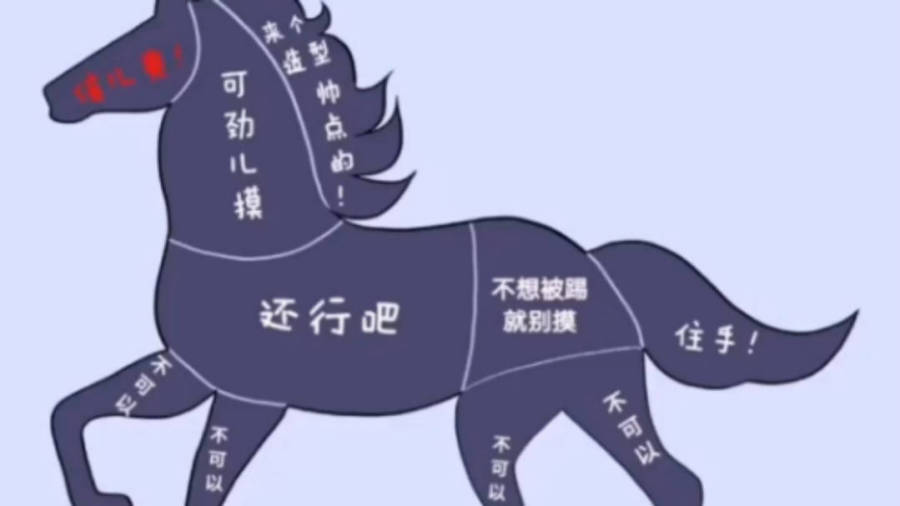 图书馆 第268页