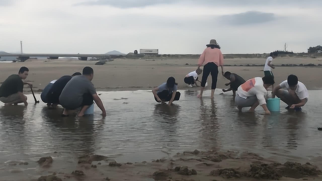 文化馆 第269页