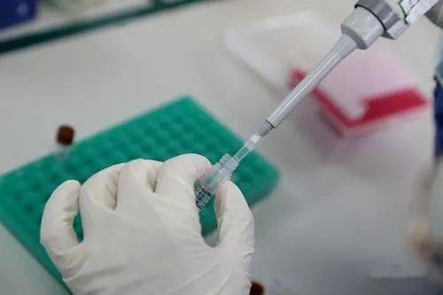 珠海核酸检测最新日常趣事概览