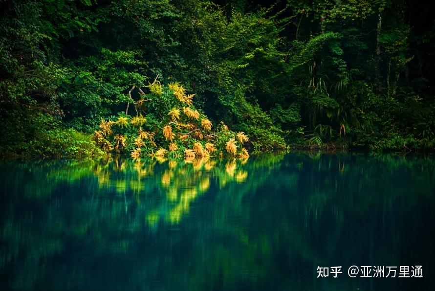 乃木坂最新探索之旅，自然美景的心灵之旅，寻找内心的平和与喜悦