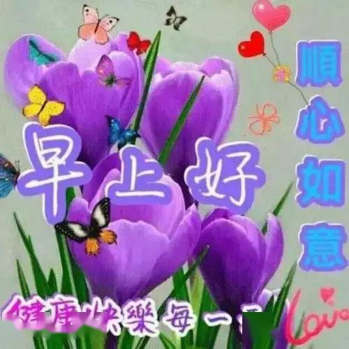 早晨问候最新图，开启美好一天的三大要点与温馨祝福
