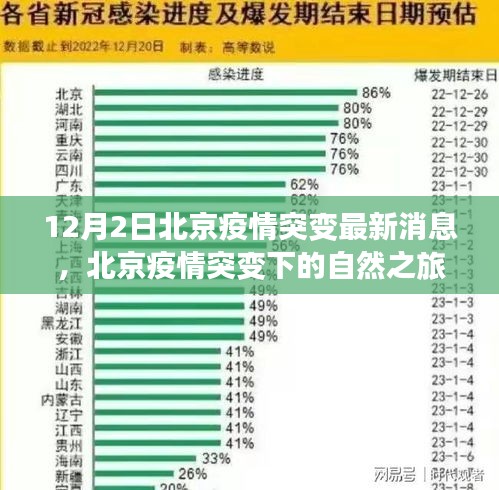 最新疫情动态与国内绿色旅行寻找内心平静之旅