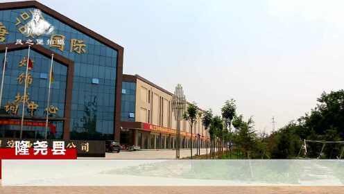 隆尧县最新发展动态解析，观点阐述与分析