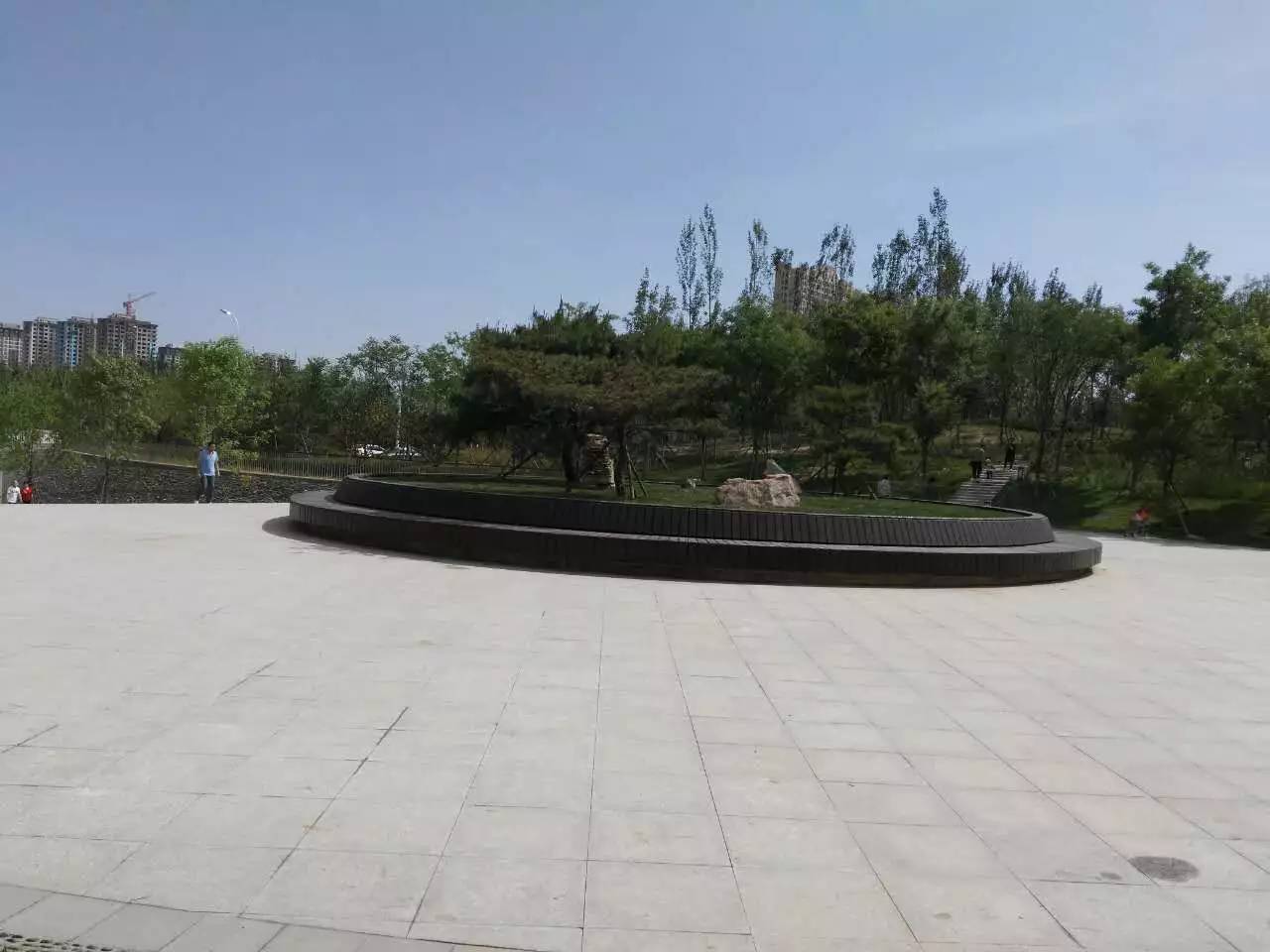 廊坊丹凤公园最新动态更新🎉花开盛景，美景连连！