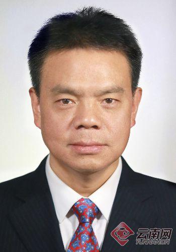 武定县干部公示步骤指南，最新公示信息一览（适合初学者与进阶用户）