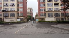凤阳嘉景荣府最新图片揭秘，小巷中的隐藏特色小店展示