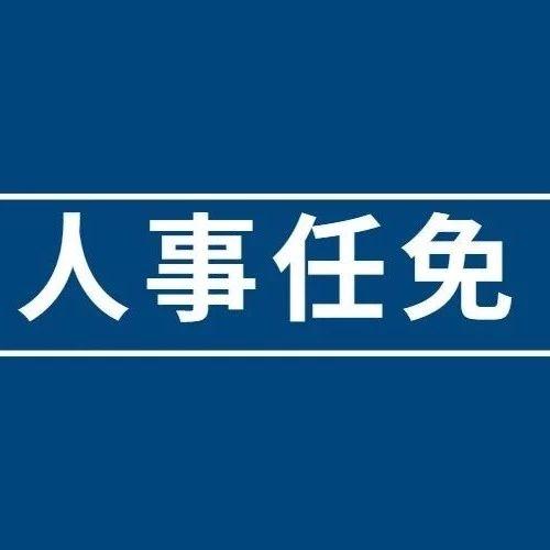东营市最新任免通知揭晓科技新品，引领智能生活新潮流