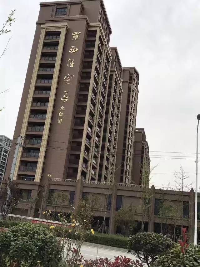 温州三郎桥安置房最新动态与申请指南，了解、准备及最新进展全解析
