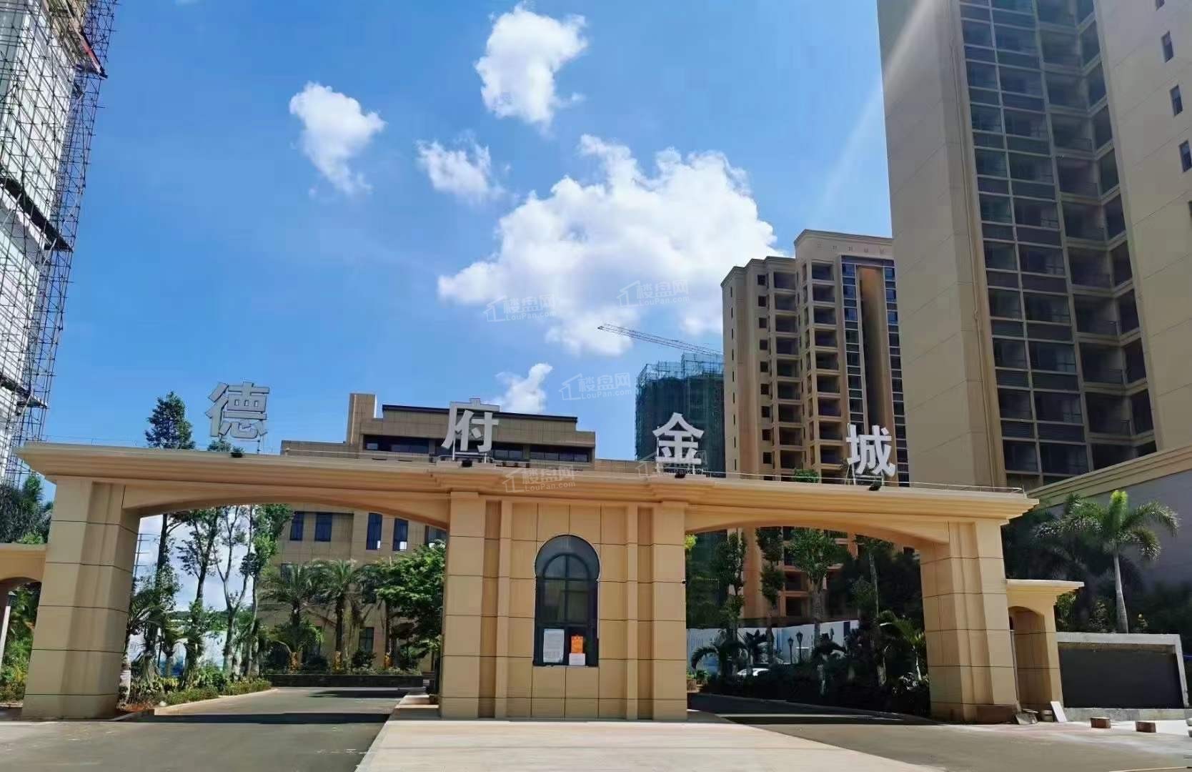 英德金鑫城最新动态，全面了解与参与指南