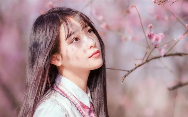 青少年宫 第244页