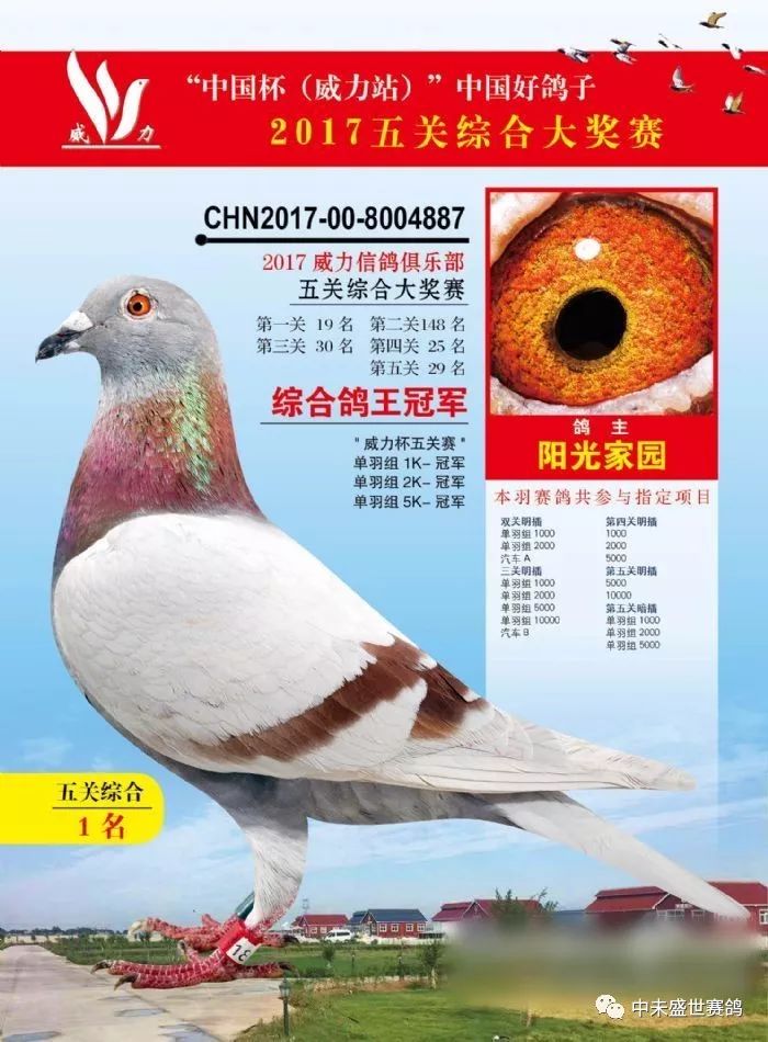 爱羽扫描鸽钟最新报价，助力赛鸽事业腾飞！