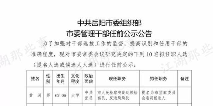 岳阳市最新公示干部名单发布✨